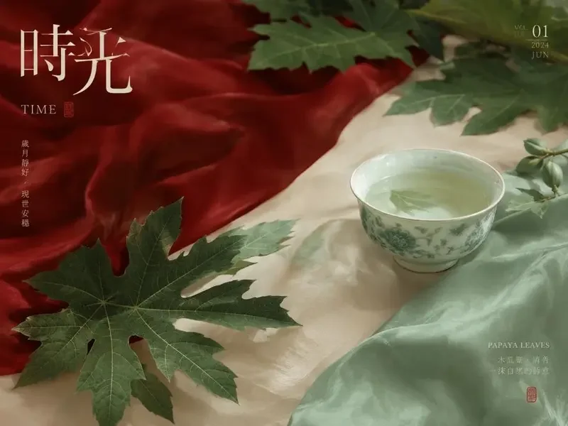 古风拾遗：一袖风华一段旧梦 - 黄火短剧在线观看故事专栏封面